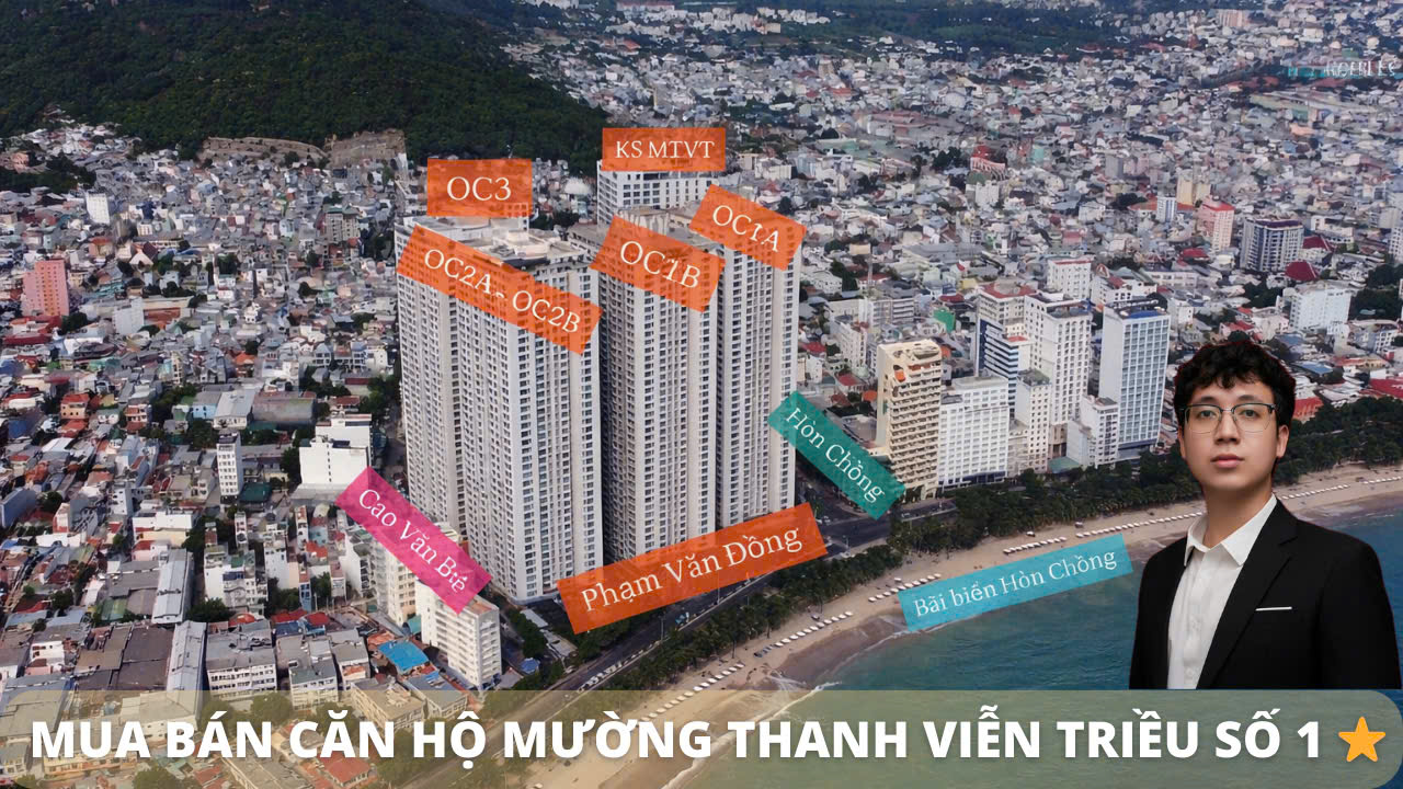 Mua-bán-căn-hộ-Mường-Thanh-Viễn-Triều-Số-1-⭐️-_-Bá-Dạt-Housing